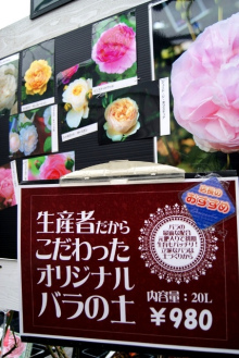 ガーデニング福岡県元気で活きの良い植物専門店オニヅカバイオシステム