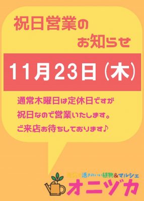 祝日営業2023.11.23木