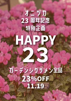 23周年記念特別企画シクラメン