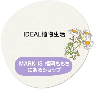 IDEAL 植物生活　MARK IS 福岡ももちにある、「理想的な生活には植物を！！」をテーマにしたショップです。