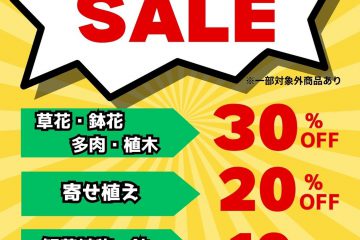 決算スーパーセール！7月18日(金)～30日(水)