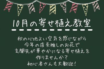 10月の園芸教室　10/26(日)・31(金)