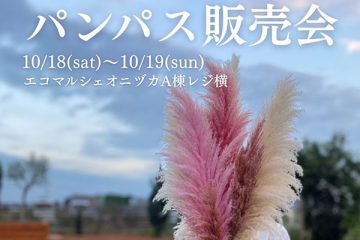 パンパス販売会　10/18(土)・19(日)
