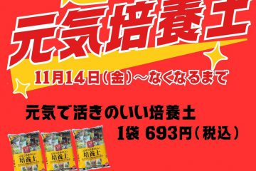 超特価☆元気培養土販売 11月14日(金)~ 超特価☆元気培養土販売 11月14日(金)~
