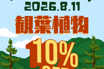 【8/11山の日限定】 観葉植物10% OFF！