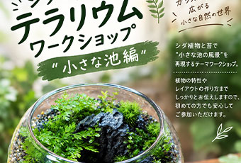 シダと苔のテラリウム ワークショップ 【本店】10/17(土)