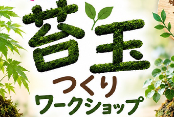 【ワークショップ】楽しい苔玉つくり 9月21日(月・祝) 【ワークショップ】楽しい苔玉つくり 9月21日(月・祝)