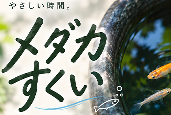【メダカ屋 山家】メダカすくい 9月22日(火・祝) 【メダカ屋 山家】メダカすくい 9月22日(火・祝)